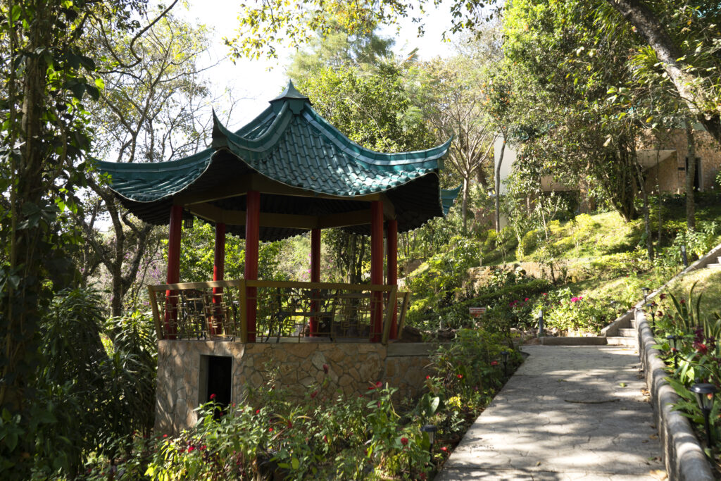 Pagoda y sendero del Jardín Imperial
