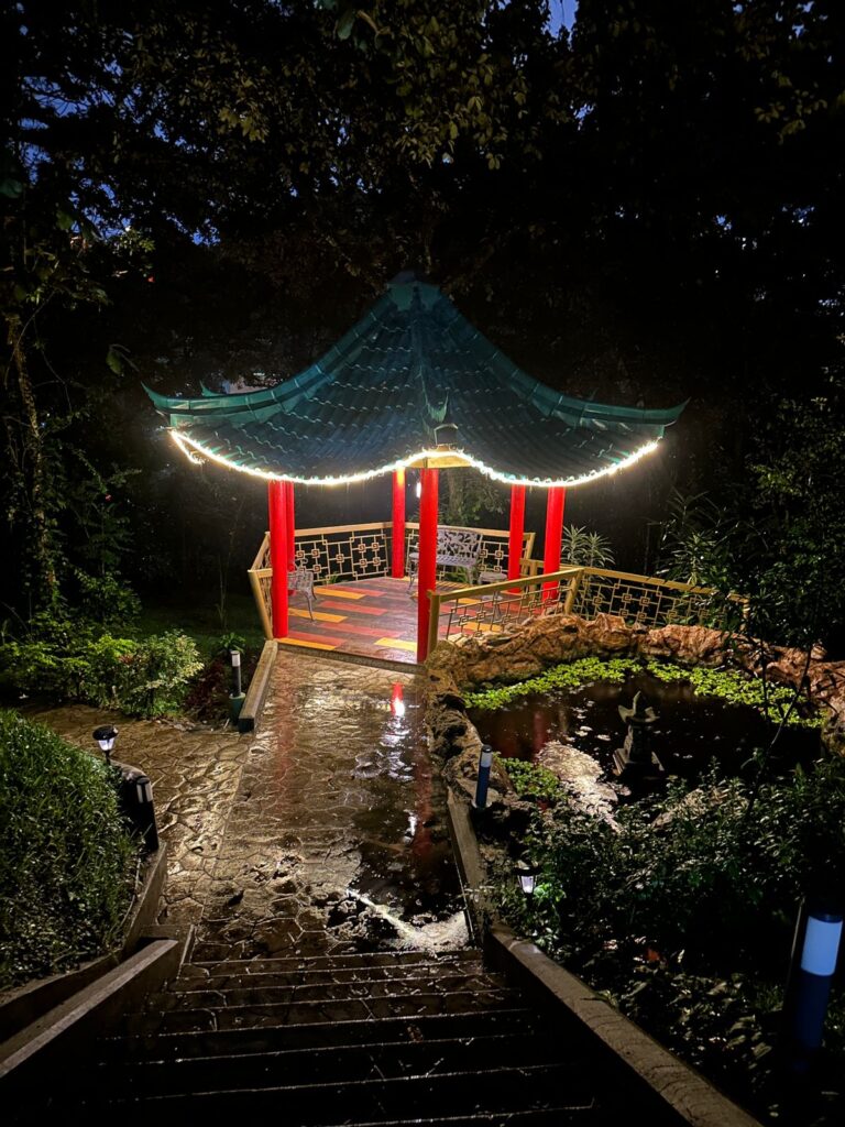 WhatsApp Image 2024-07-22 at 07.41.05